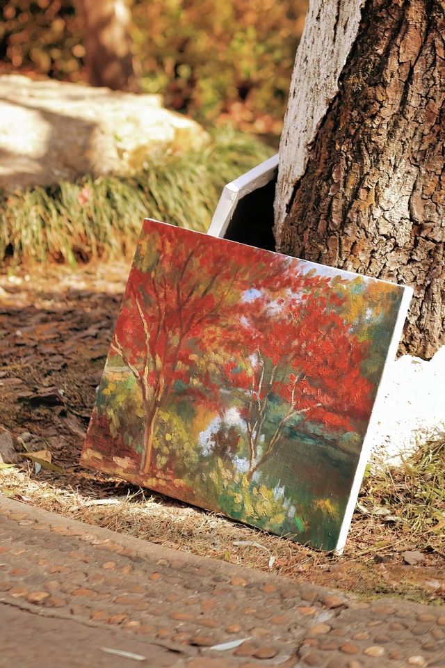 長沙賞秋絕佳地!愛晚亭楓葉簡直美到窒息 長沙賞秋絕佳地!愛晚亭楓葉簡直美到窒息