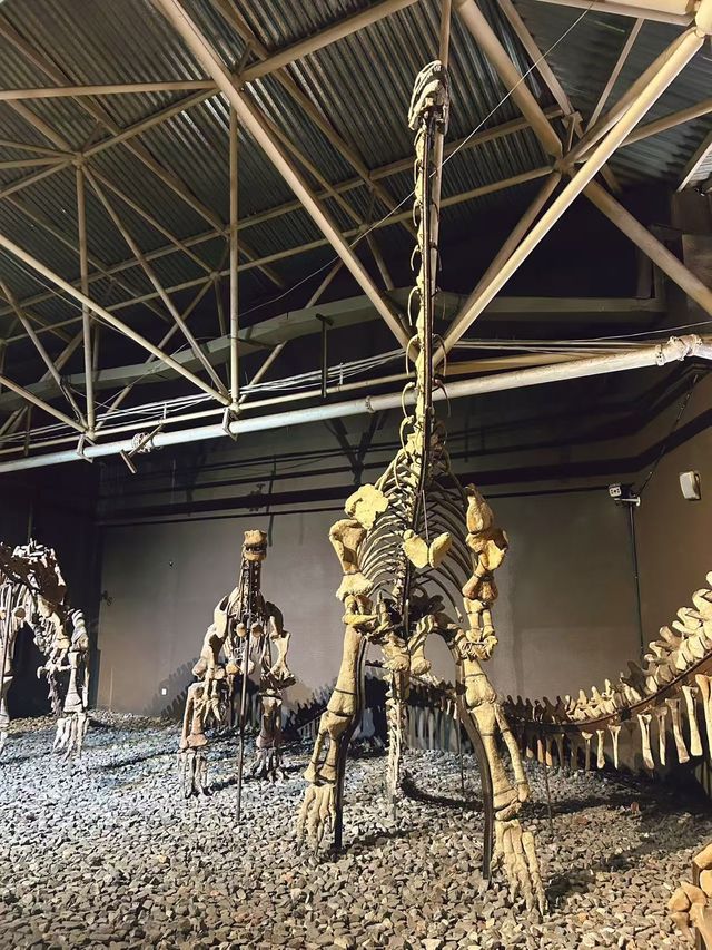 絕絕子的寶藏酒店推薦