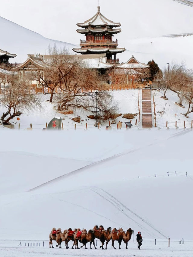 冬季反向遊敦煌｜0.5折門票+包場體驗真係超正