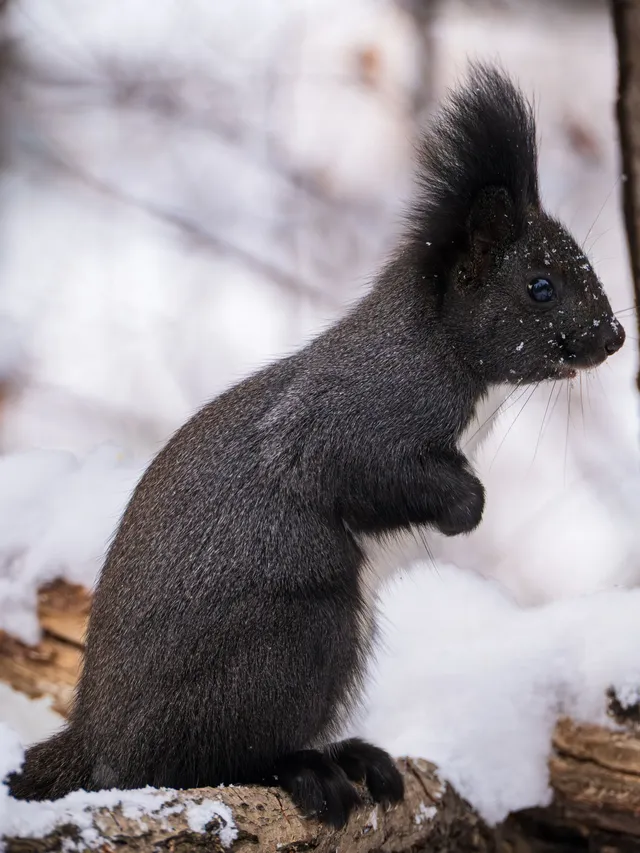 再吃，再吃就把你拍下來，放到網上去！