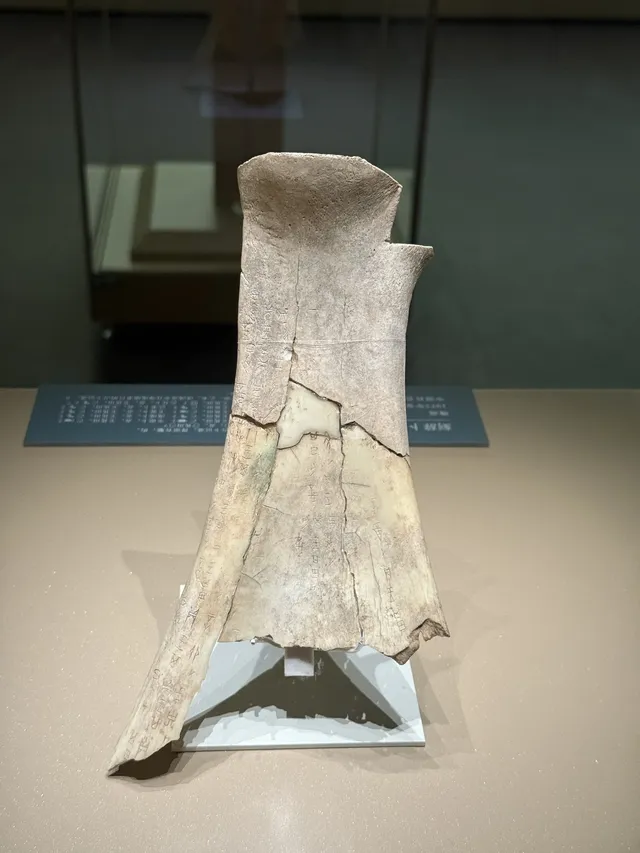 杭州週末特種兵｜殷墟博物館