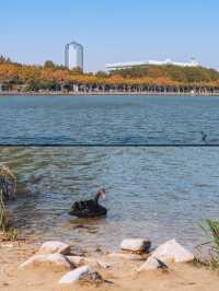 上海｜世紀公園的城市秋居畫卷