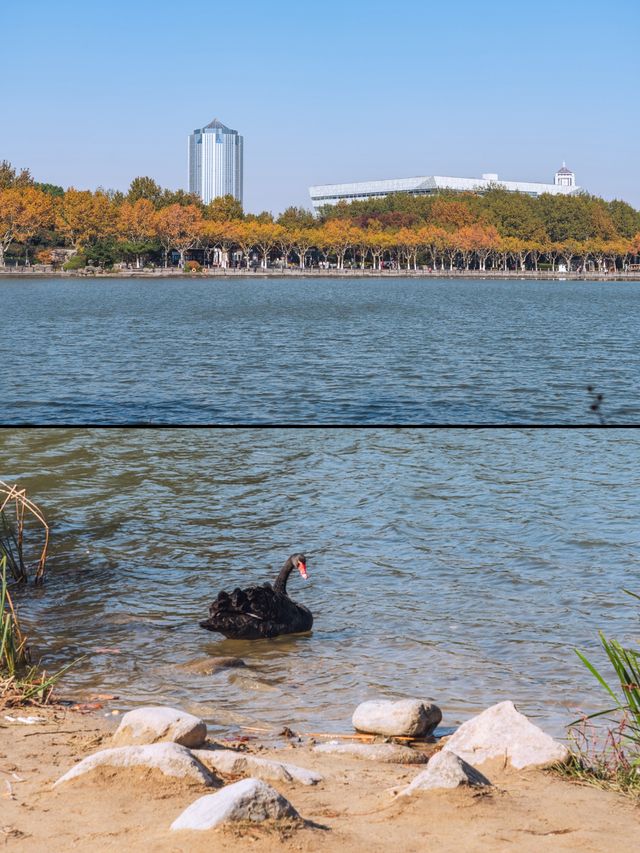 上海｜世紀公園的城市秋居畫卷