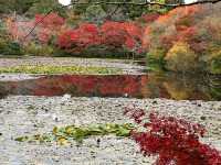 A More Balanced Kyoto Temple Experience