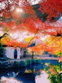 錯過無錫的秋 ，該有多遺憾吖