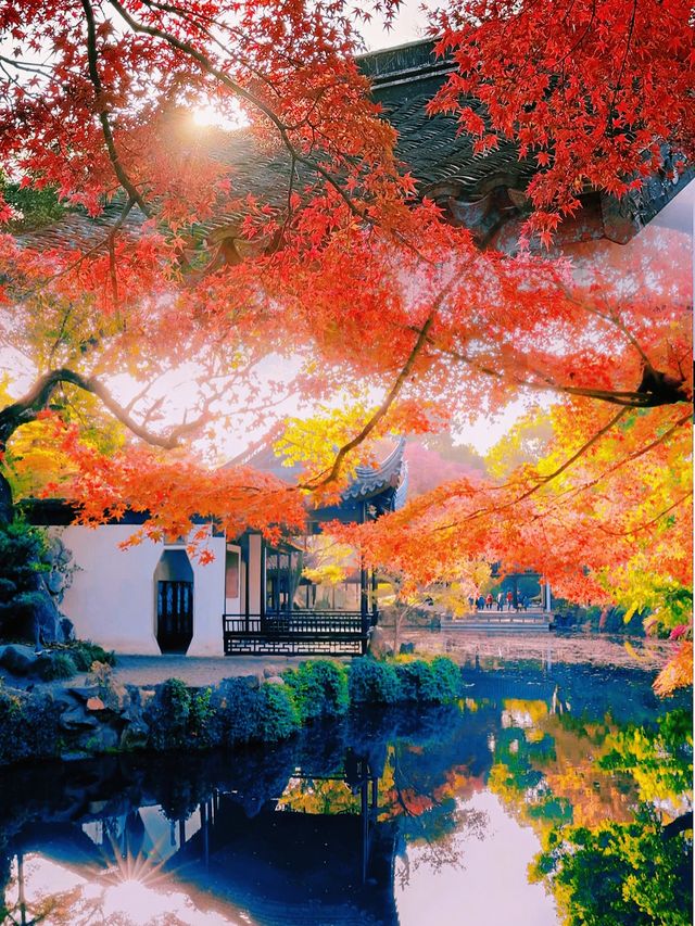 錯過無錫的秋 ，該有多遺憾吖