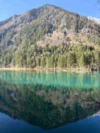 九寨歸來不看水，這句話我算是信了！