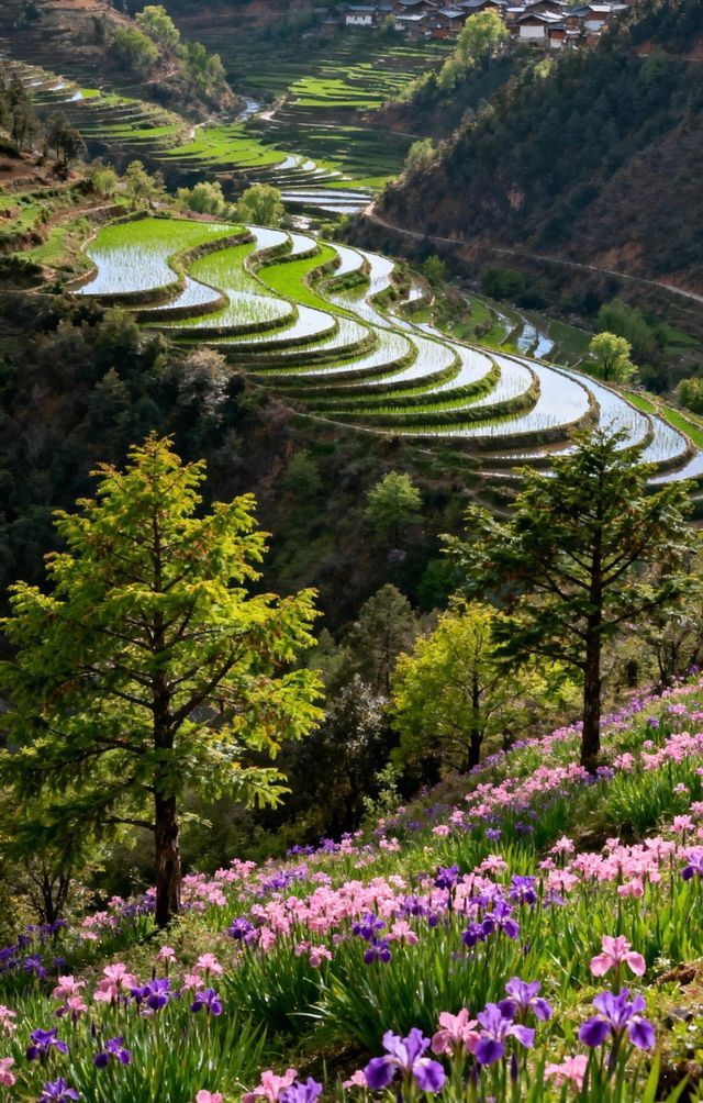 絕美金沙江梯田漫步 絕美金沙江梯田漫步