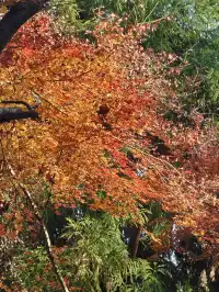 莫干山太美了 好棒完成人生第一次徒步