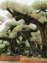 原來佛山都有中山公園?