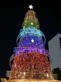 第一次去香港,直接複製這條citywalk路線