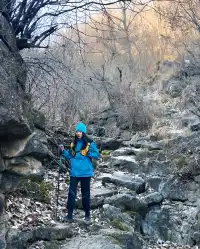 我在南太行女兒梯路線遇到了一棵孤獨的樹