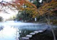 莫干山紅葉美到極致