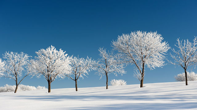 玩轉哈爾濱-牡丹江-延邊快碼住 玩轉哈爾濱-牡丹江-延邊快碼住