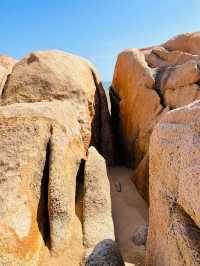 江門那琴半島｜奇石海岸藏秘境 棧道蜿蜒入畫中