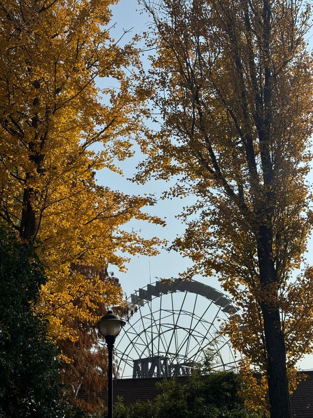 蘇州私藏秋日寶藏|太湖湖濱濕地公園,免費美到驚嘆 蘇州私藏秋日寶藏|太湖湖濱濕地公園,免費美到驚嘆