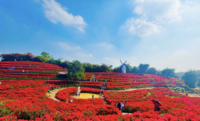 南寧青秀山旅遊拍照打卡地 南寧青秀山旅遊拍照打卡地