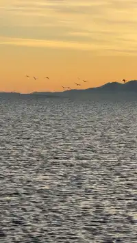 太美了吧!賽里木湖非常適合自駕!!!