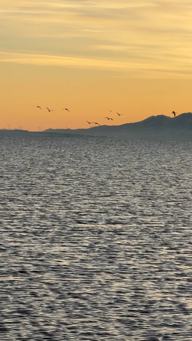 太美了吧!賽里木湖非常適合自駕!!! 太美了吧!賽里木湖非常適合自駕!!!