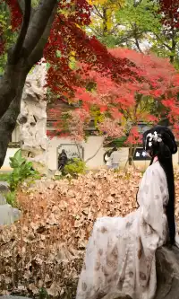 不是蘇州園林，是成都易園