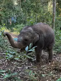 版納三課：學會在場
