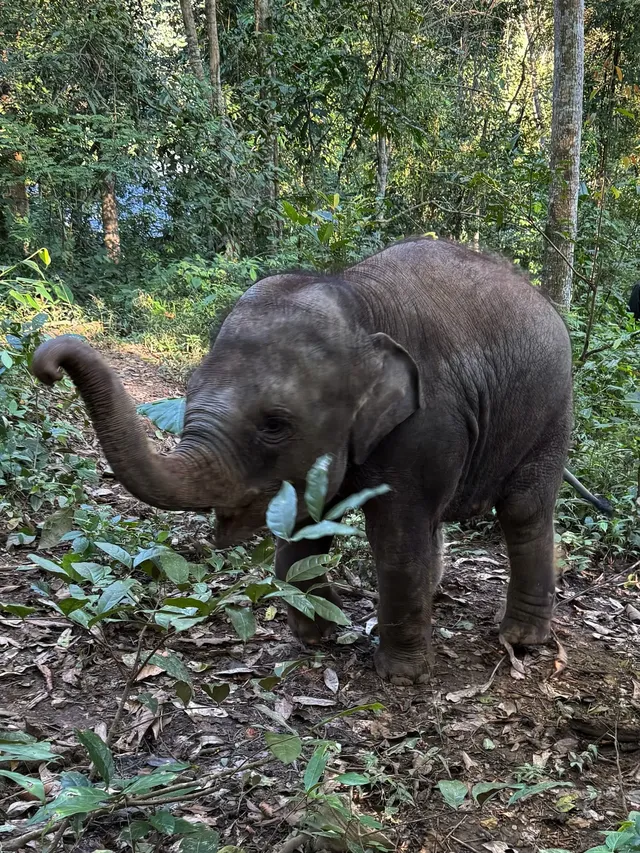 版納三課：學會在場