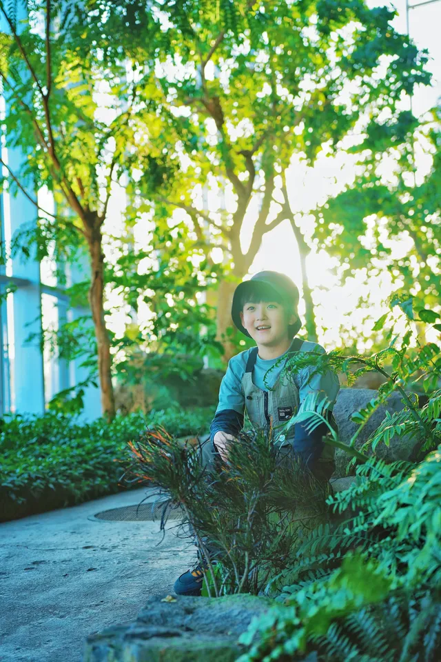 闖入綠野仙蹤,快來當森系主角 闖入綠野仙蹤,快來當森系主角