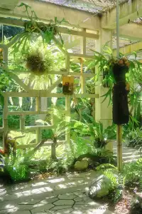 廈門植物園 | 像植物一樣呼吸