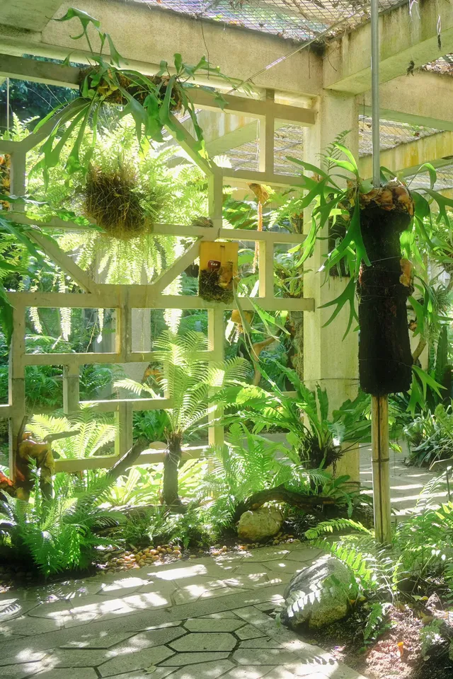 廈門植物園 | 像植物一樣呼吸