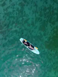 唔好亂衝！涠洲島觀鯨最佳時間攻略奉上