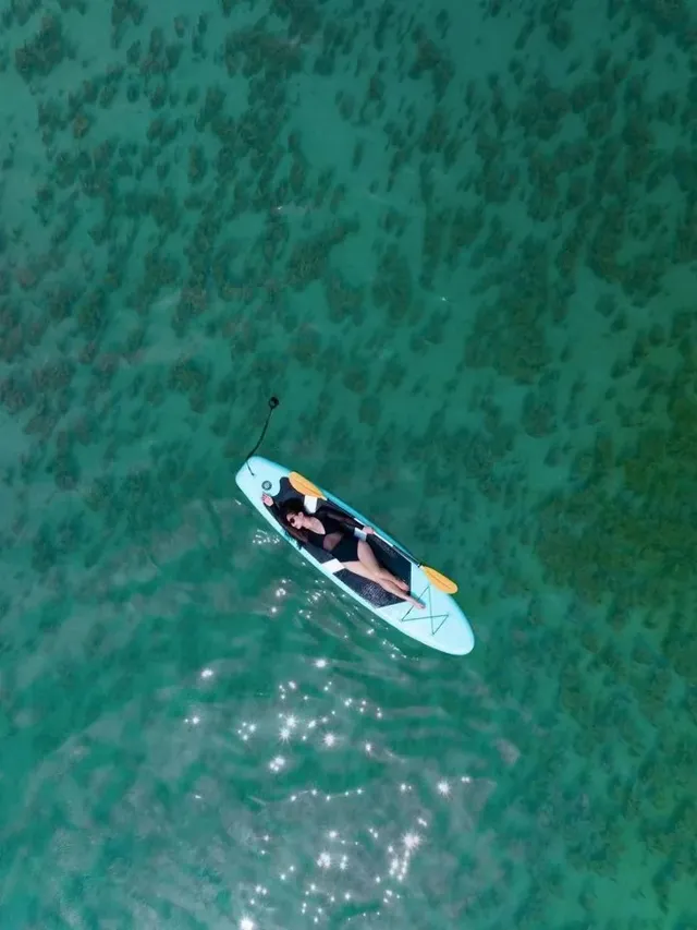 唔好亂衝！涠洲島觀鯨最佳時間攻略奉上