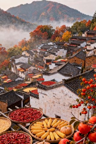 【Huangling Autumn Viewing is Just in Time】Seize the Last Splash of Splendor and Encounter the Limited Edition Autumn Scroll