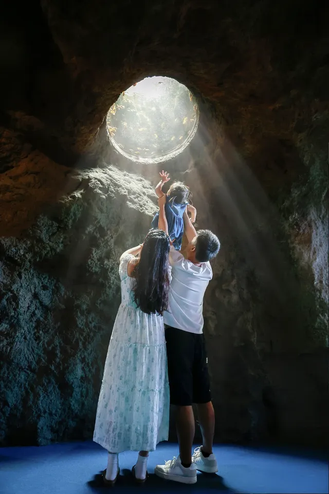 不到 150 找的珠海長隆跟拍踩雷了嗎? 不到 150 找的珠海長隆跟拍踩雷了嗎?