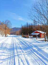 【哈爾濱·原生態雪景穿越路線】