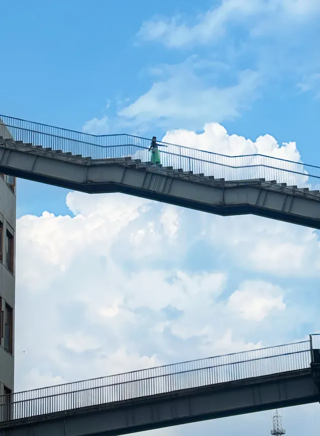 抄作業「本地人」怒推的武漢遊行程 抄作業「本地人」怒推的武漢遊行程