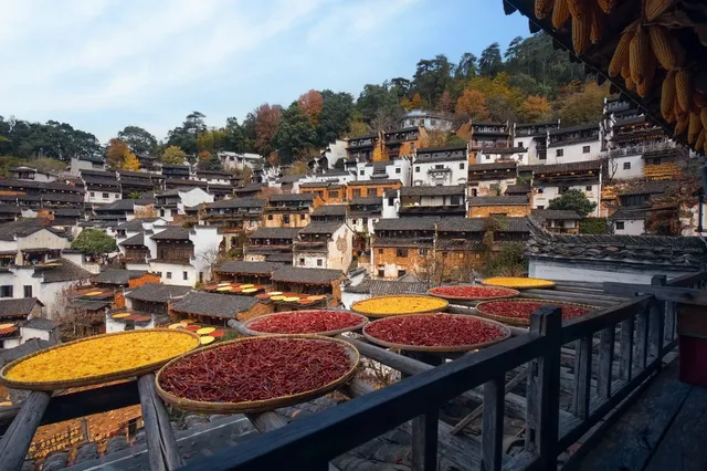 國家地理推薦｜婺源篁嶺曬秋