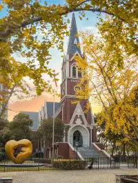 12.02實拍｜上海銀杏教堂已封神，可參觀