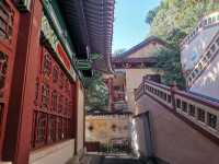 古建氧吧水月宮