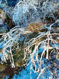 12月中莽山現狀,冷到哭,崩潰到想逃...