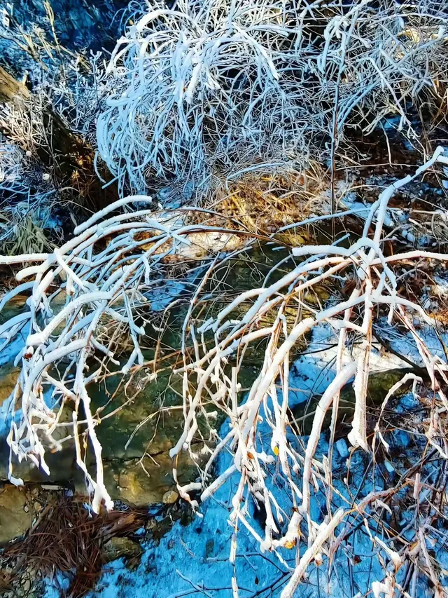 12月中莽山現狀,冷到哭,崩潰到想逃... 12月中莽山現狀,冷到哭,崩潰到想逃...