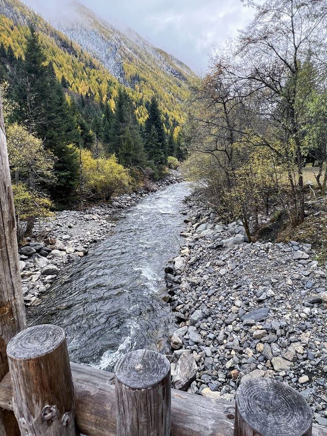 沉浸式體驗 『理小路』
