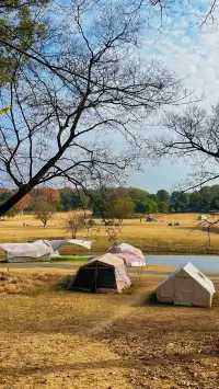 流徽榭，美得像金陵深秋的油畫秘境~
