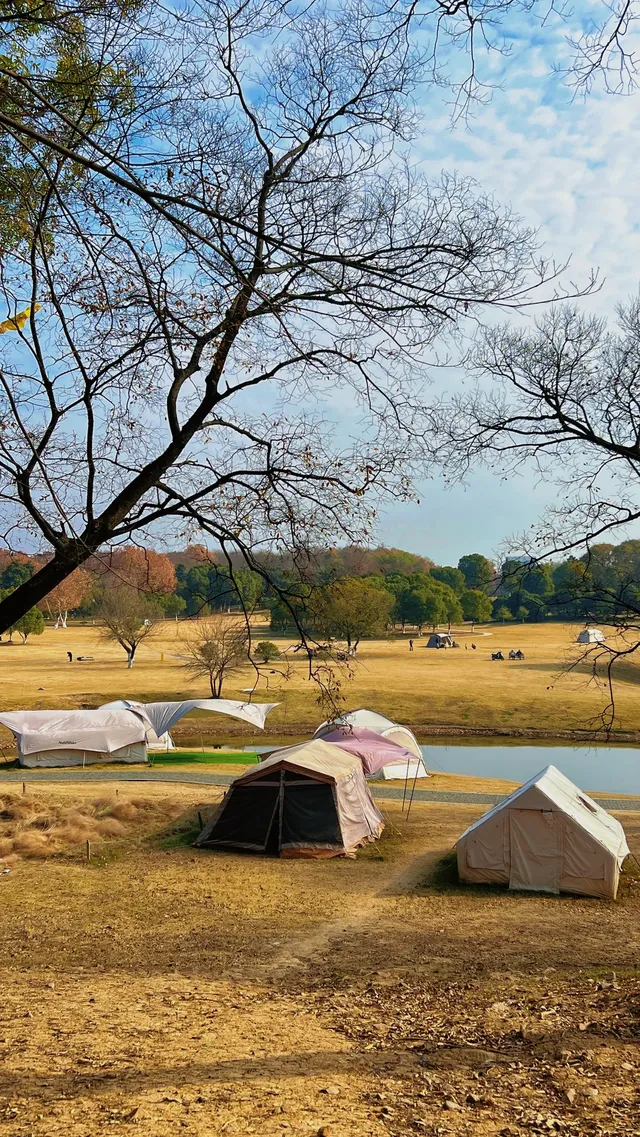 流徽榭，美得像金陵深秋的油畫秘境~
