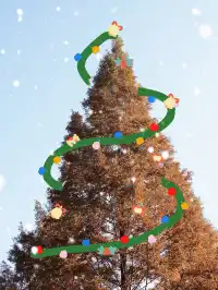 墜入「暮光森林」平陽滿田森林公園