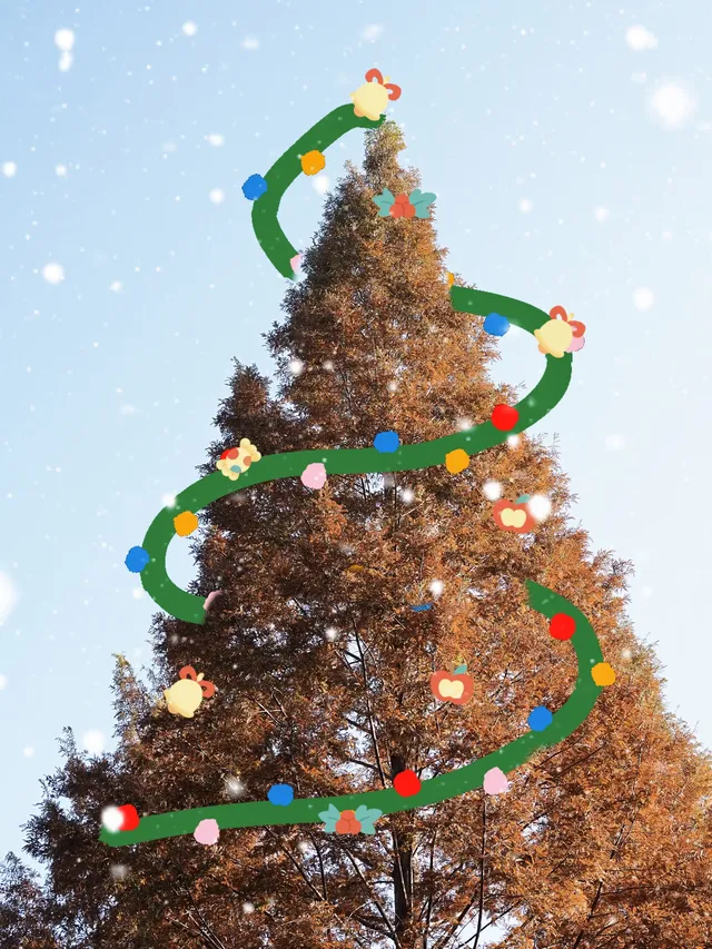 墜入「暮光森林」平陽滿田森林公園 墜入「暮光森林」平陽滿田森林公園