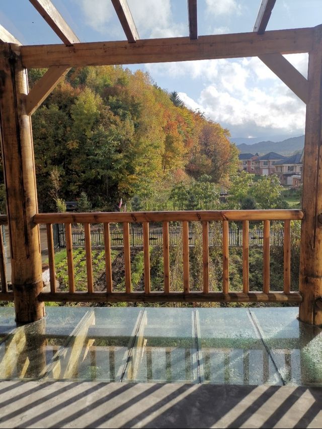 亞布力滑雪必住!大力推薦這家高顏值民宿良棲青雲 亞布力滑雪必住!大力推薦這家高顏值民宿良棲青雲