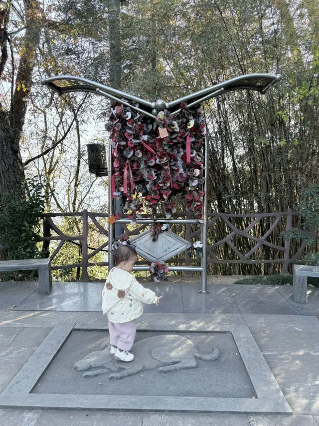 千島湖中心湖區攻略｜帶娃免門票遊湖！