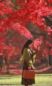 你在人潮擁擠的西湖邊,我在花開海上紅楓自由自在