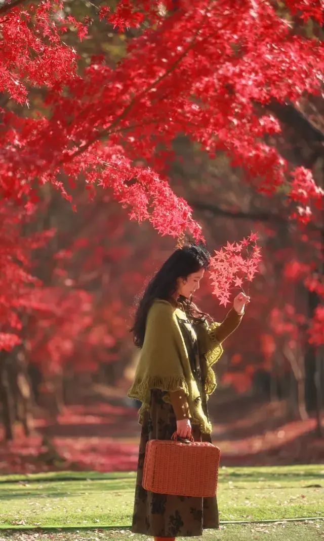 你在人潮擁擠的西湖邊,我在花開海上紅楓自由自在 你在人潮擁擠的西湖邊,我在花開海上紅楓自由自在