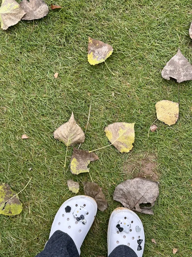 洛陽周邊遊「魏坡·新序」週末應該奔向大自然 洛陽周邊遊「魏坡·新序」週末應該奔向大自然